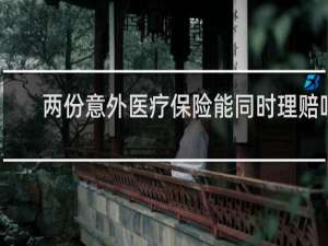两份意外医疗保险能同时理赔吗