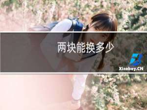 两块能换多少