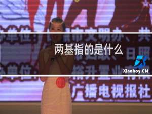 两基指的是什么