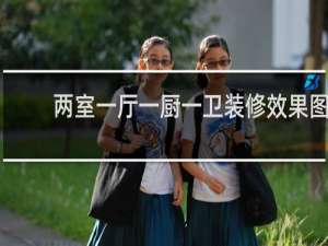 两室一厅一厨一卫装修效果图