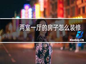 两室一厅的房子怎么装修