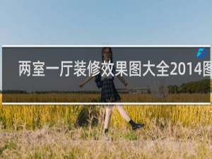 两室一厅装修效果图大全2014图片