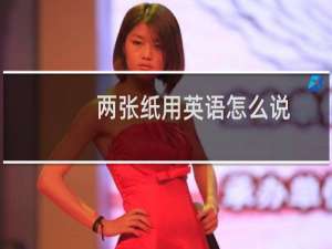 两张纸用英语怎么说