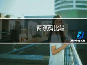 两源码比较