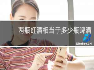 两瓶红酒相当于多少瓶啤酒