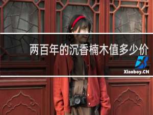 两百年的沉香楠木值多少价