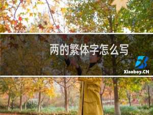 两的繁体字怎么写
