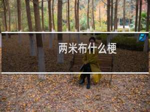 两米布什么梗