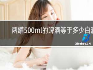 两罐500ml的啤酒等于多少白酒