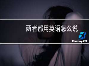 两者都用英语怎么说