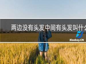 两边没有头发中间有头发叫什么