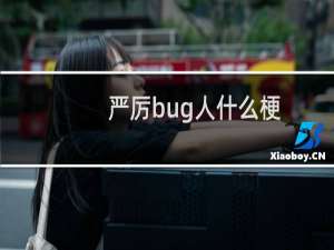 严厉bug人什么梗？什么梗