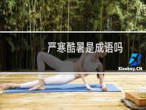 严寒酷暑是成语吗
