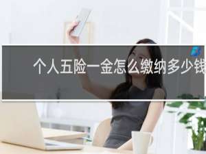 个人五险一金怎么缴纳多少钱