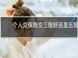 个人交保险交三险好还是五险