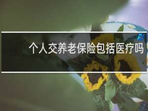 个人交养老保险包括医疗吗