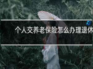 个人交养老保险怎么办理退休