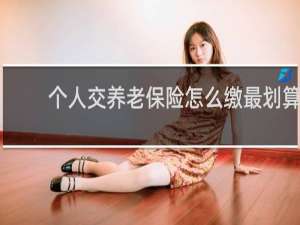 个人交养老保险怎么缴最划算