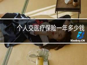 个人交医疗保险一年多少钱