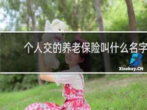 个人交的养老保险叫什么名字