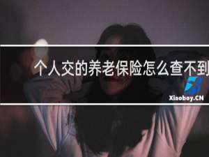 个人交的养老保险怎么查不到