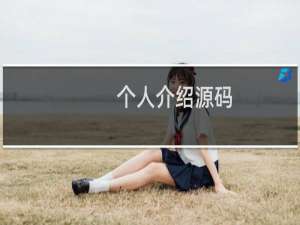 个人介绍源码
