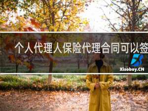 个人代理人保险代理合同可以签吗
