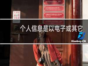个人信息是以电子或其它方式记录