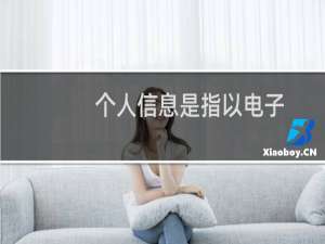 个人信息是指以电子