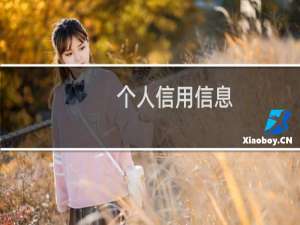 个人信用信息