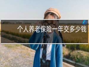 个人养老保险一年交多少钱