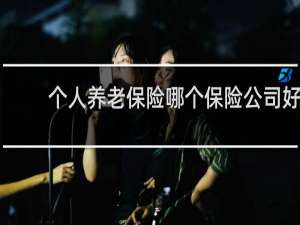 个人养老保险哪个保险公司好