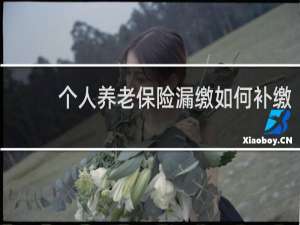 个人养老保险漏缴如何补缴