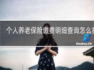 个人养老保险缴费明细查询怎么打印