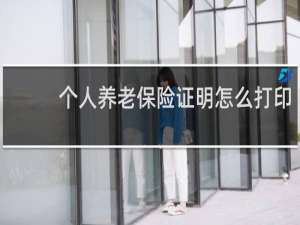 个人养老保险证明怎么打印