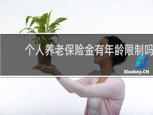 个人养老保险金有年龄限制吗