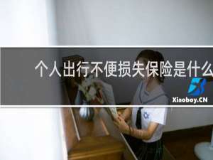 个人出行不便损失保险是什么