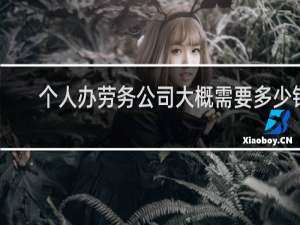个人办劳务公司大概需要多少钱