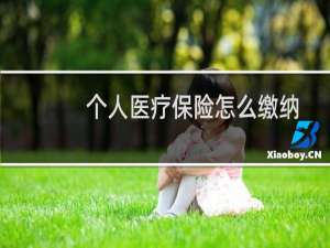 个人医疗保险怎么缴纳