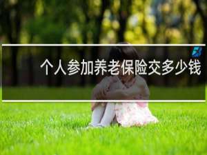 个人参加养老保险交多少钱