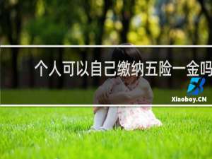 个人可以自己缴纳五险一金吗