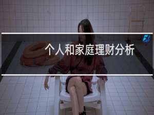 个人和家庭理财分析