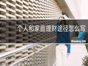 个人和家庭理财途径怎么写