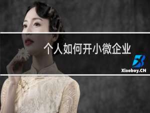 个人如何开小微企业
