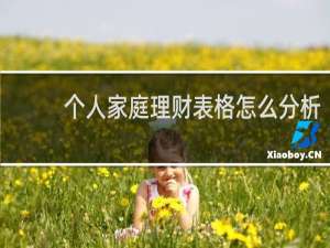 个人家庭理财表格怎么分析