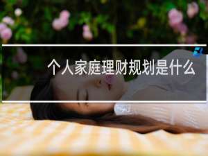 个人家庭理财规划是什么
