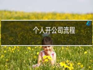 个人开公司流程