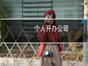 个人开办公司