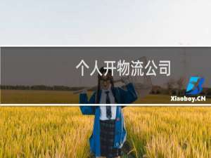 个人开物流公司