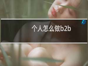个人怎么做b2b